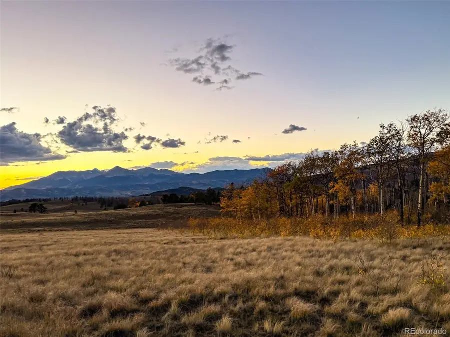 409 Brophy Dr, Fort Garland, CO 81133 - #2