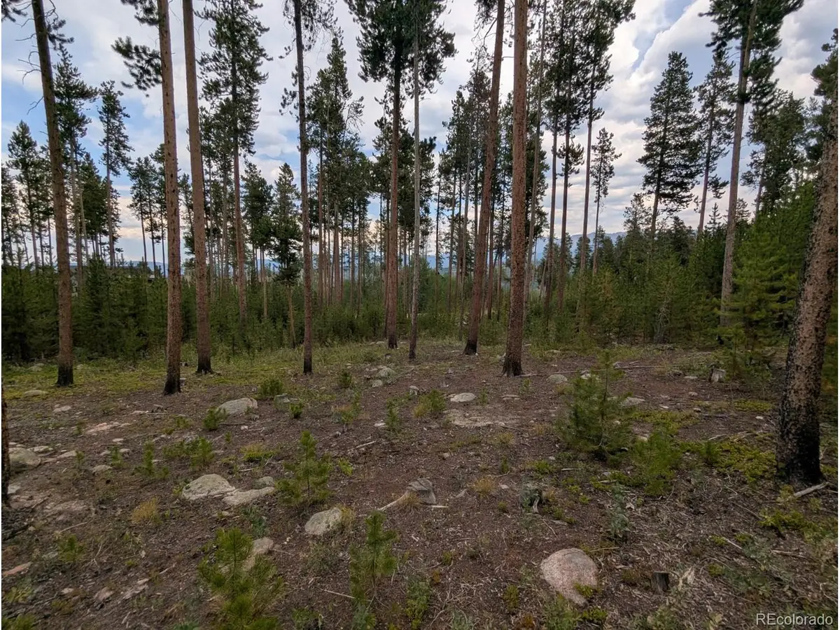 534 Leland Creek Cir, Winter Park, CO 80482 - Image #1