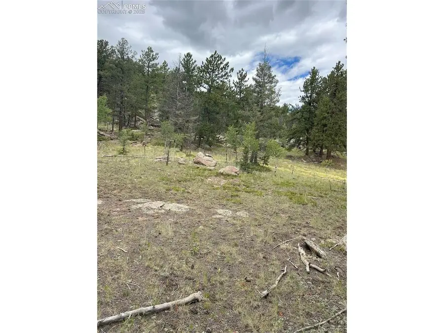 155 County Road 403, Florissant, CO 80816 - #2