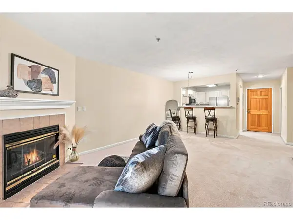 31719 Rocky Village Dr #103, Evergreen, CO 80439