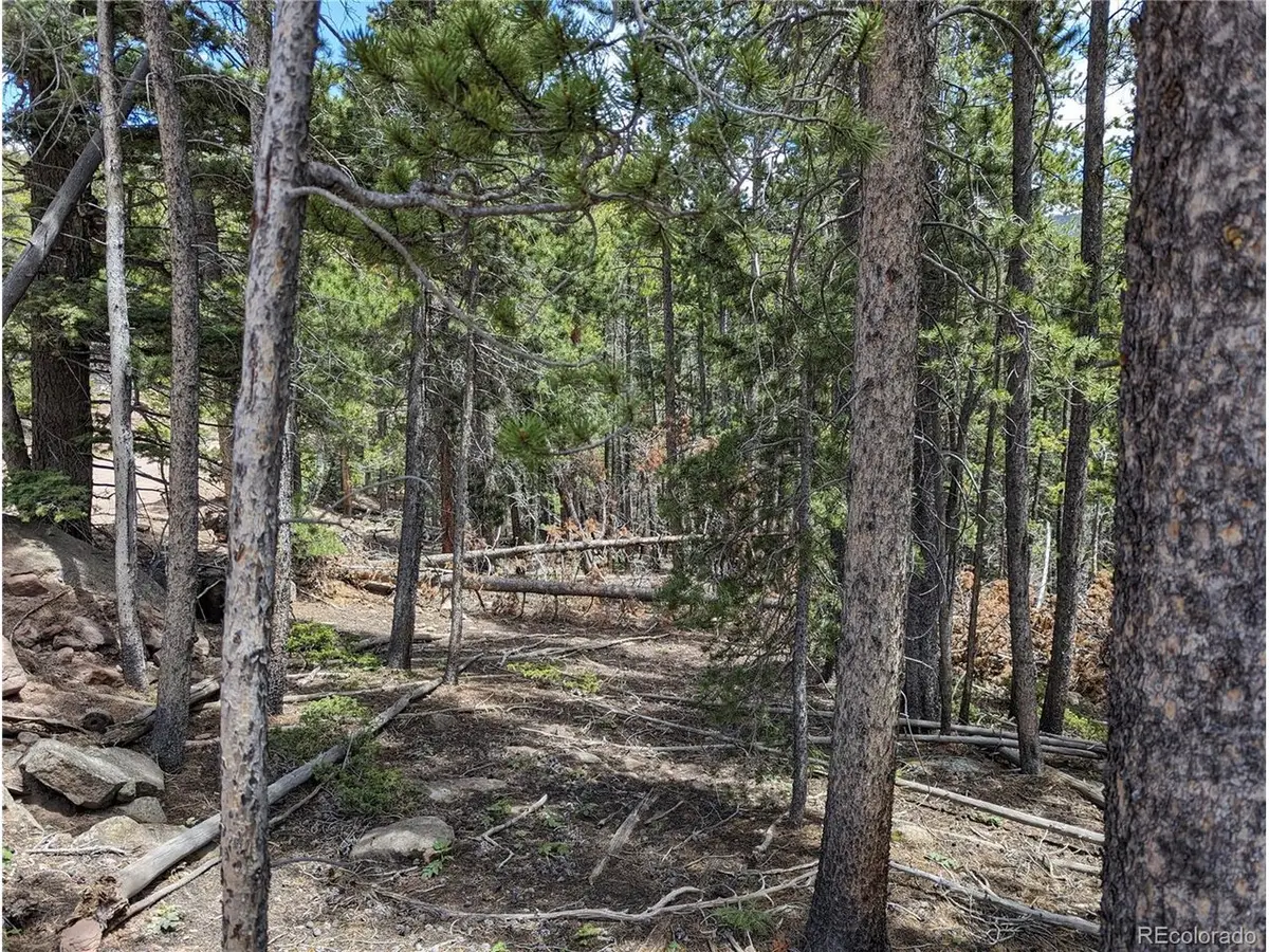 3159 Purnell Ln, Fort Garland, CO 81133 - #1