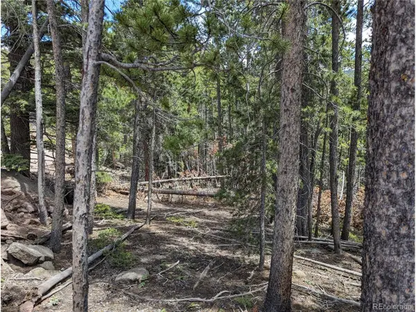 3159 Purnell Ln, Fort Garland, CO 81133