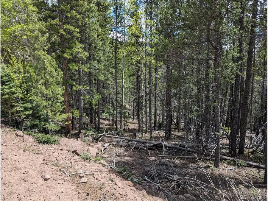 3159 Purnell Ln, Fort Garland, CO 81133 - #3