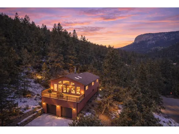 1269 Roland Dr, Bailey, CO 80421