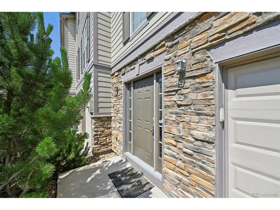 917 Burning Bush Pt, Monument, CO 80132 - #3