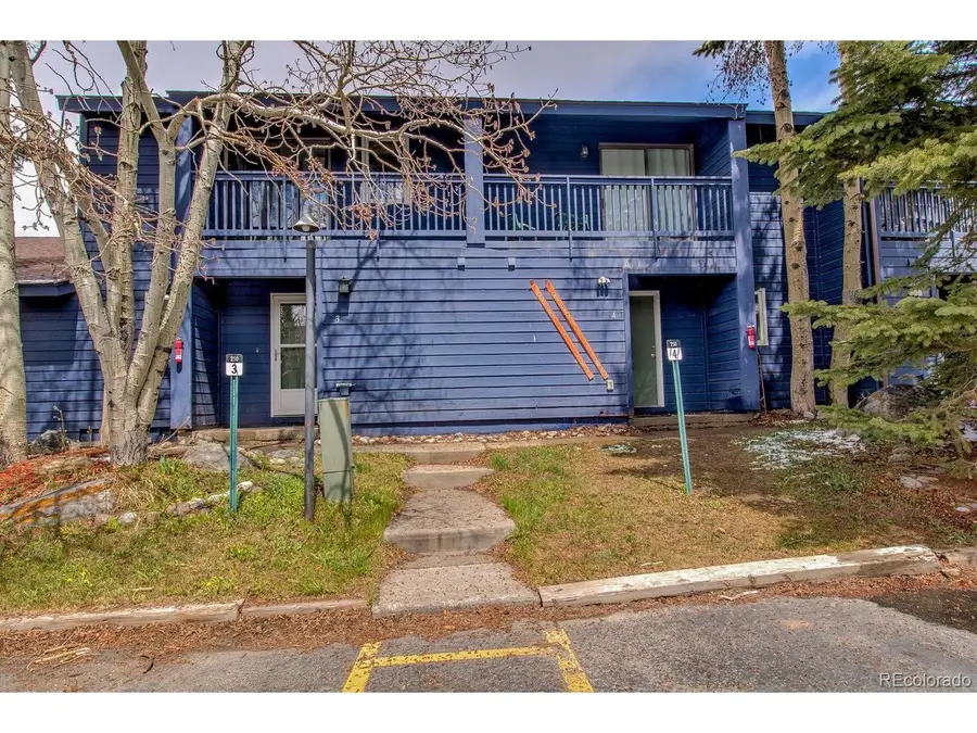 250 Cove Blvd #3, Dillon, CO 80435 - #2