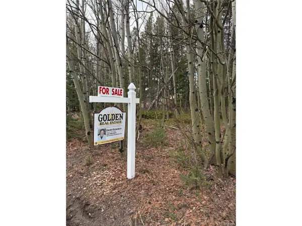 34251 Skyline Dr, Golden, CO 80403