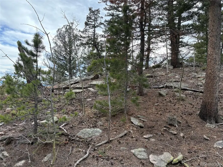 34251 Skyline Dr, Golden, CO 80403 - #3