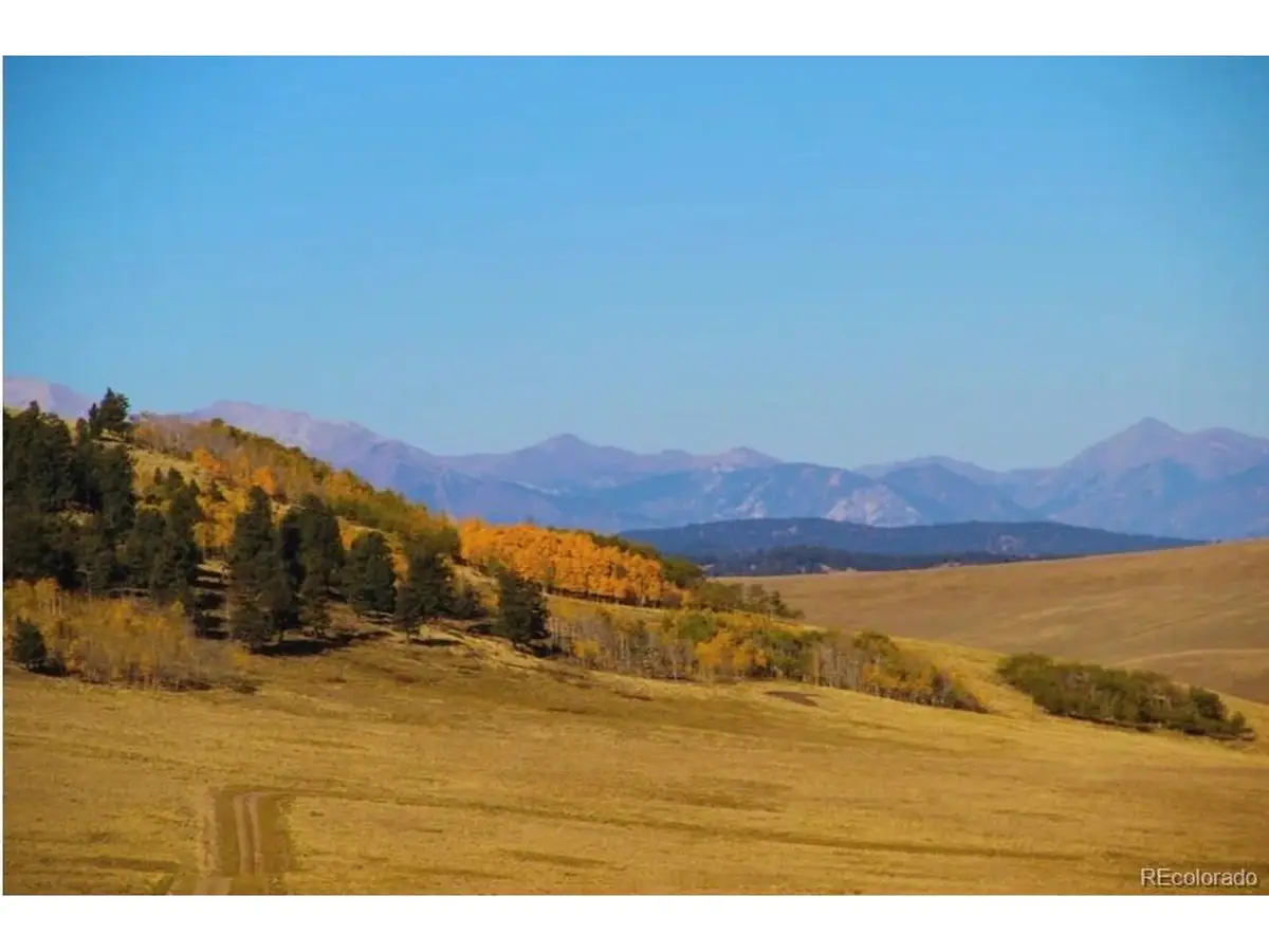 1245 Coochee Trl, Guffey, CO 80820 - #1