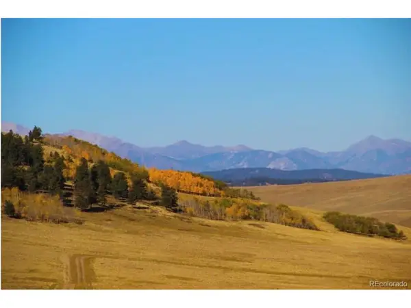 1245 Coochee Trl, Guffey, CO 80820