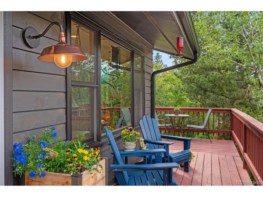 10 Rudi Ln, Golden, CO 80403 - #2
