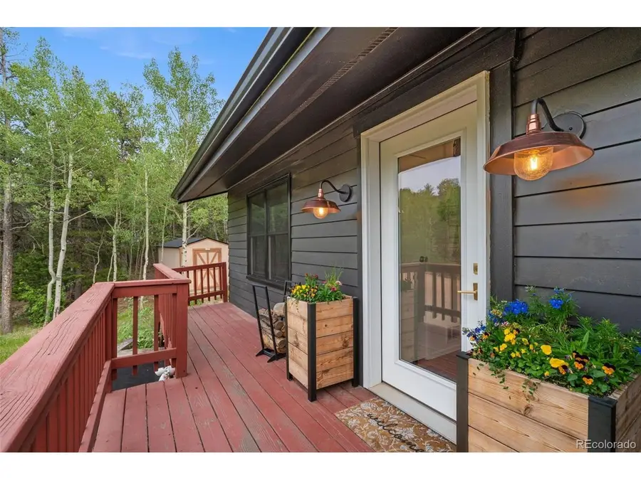 10 Rudi Ln, Golden, CO 80403 - #3
