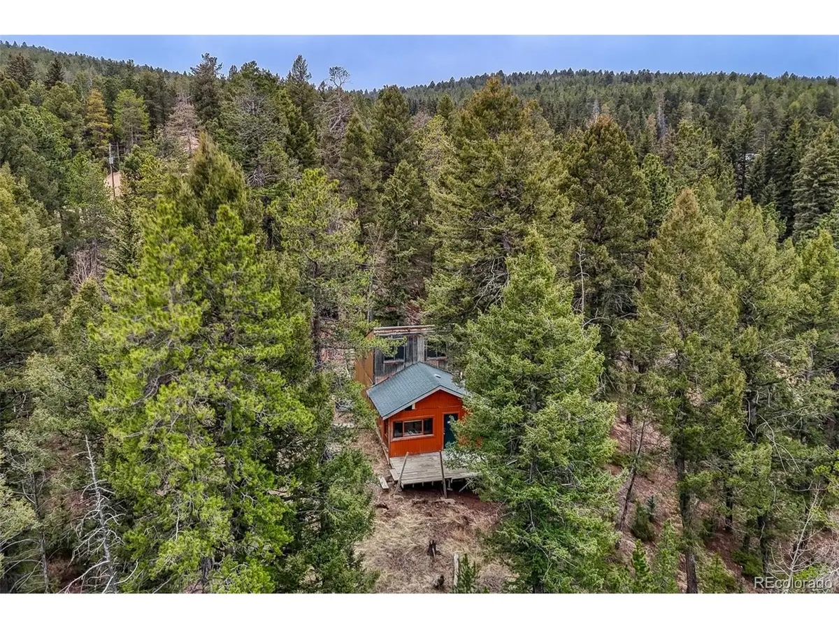 12096 Elk Trail Rd, Conifer, CO 80433 - #1