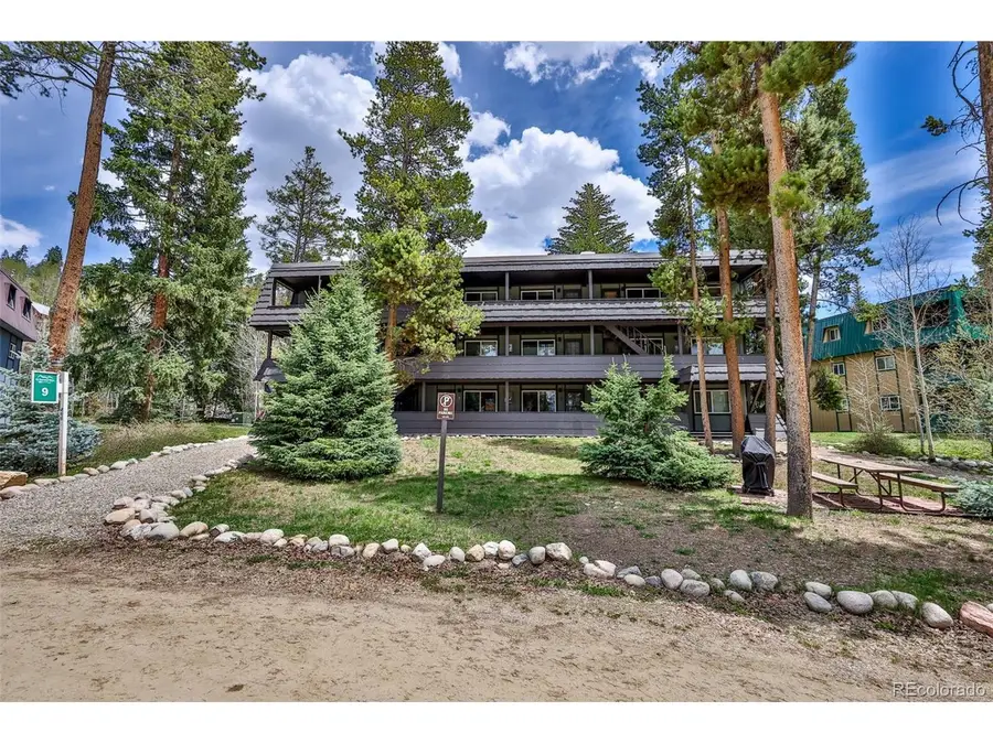 466 Hi Country Dr #109, Winter Park, CO 80482 - Image #3