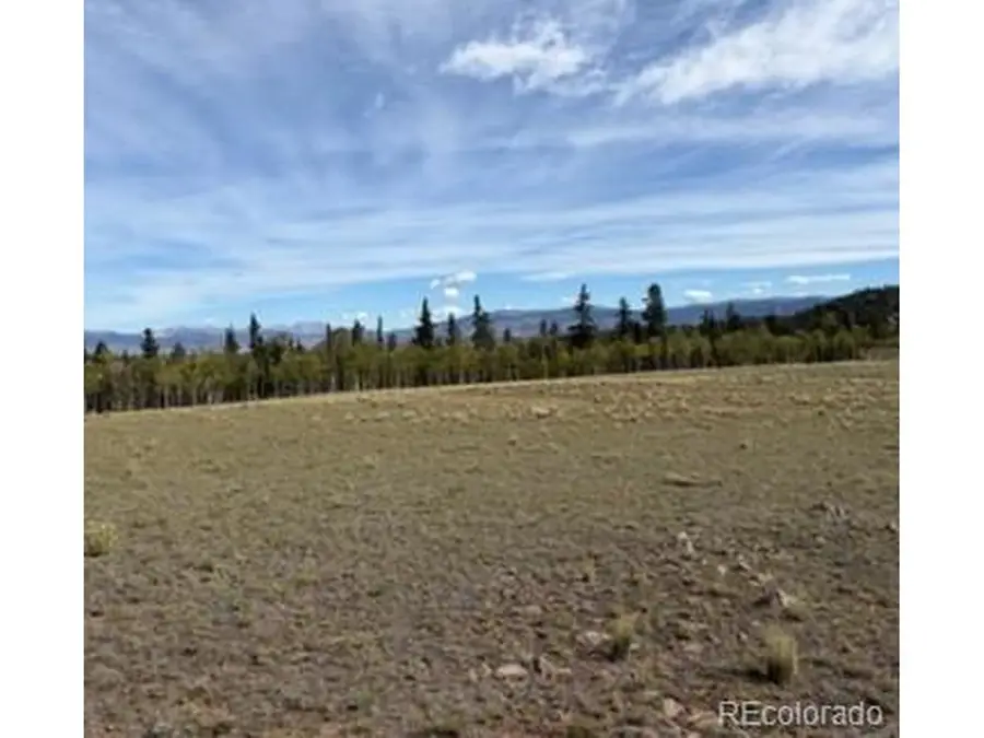 649 Vulture Ln, Como, CO 80432 - #3