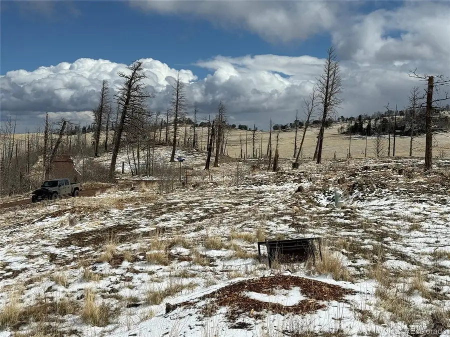 2415 Petito Dr, Fort Garland, CO 81133 - #3
