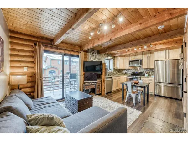 100 Cove Blvd #B, Dillon, CO 80435