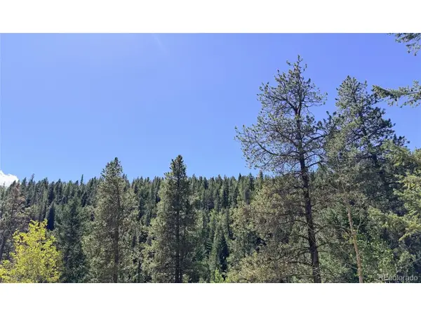 0 Silver Dollar Lode, Georgetown, CO 80444