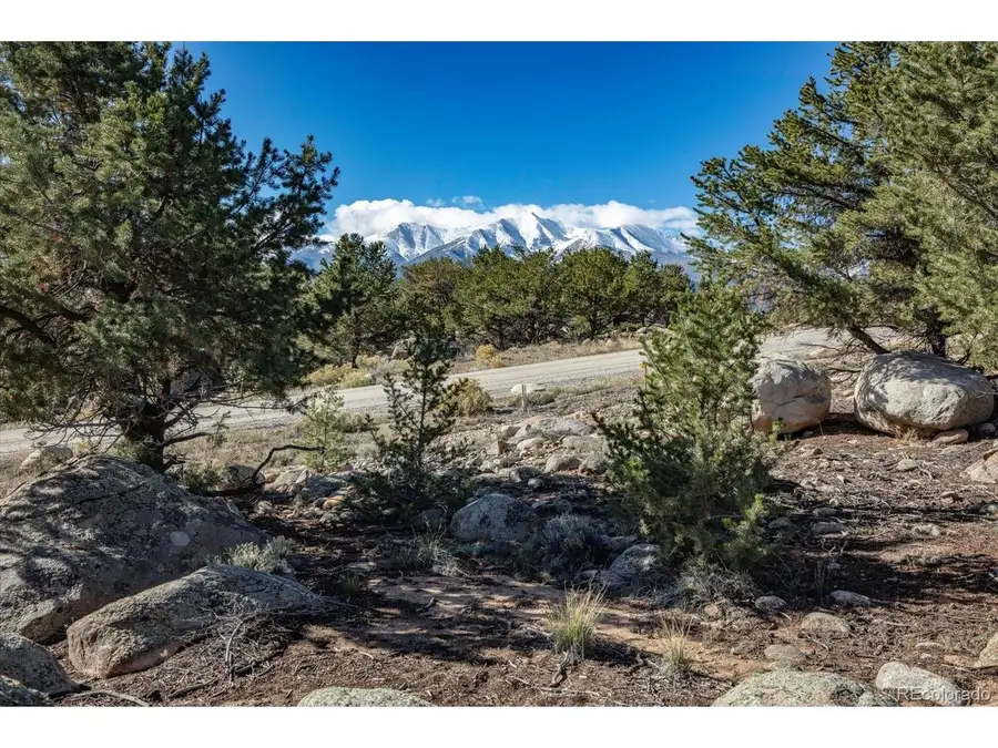 30036 Teal Run, Buena Vista, CO 81211 - #2