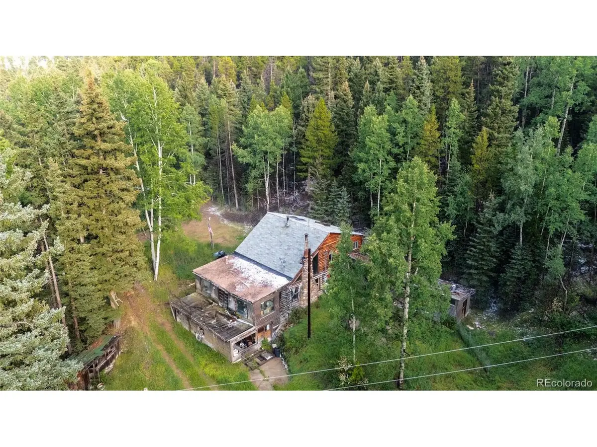 11173 S Barney Gulch Rd, Conifer, CO 80433 - #1
