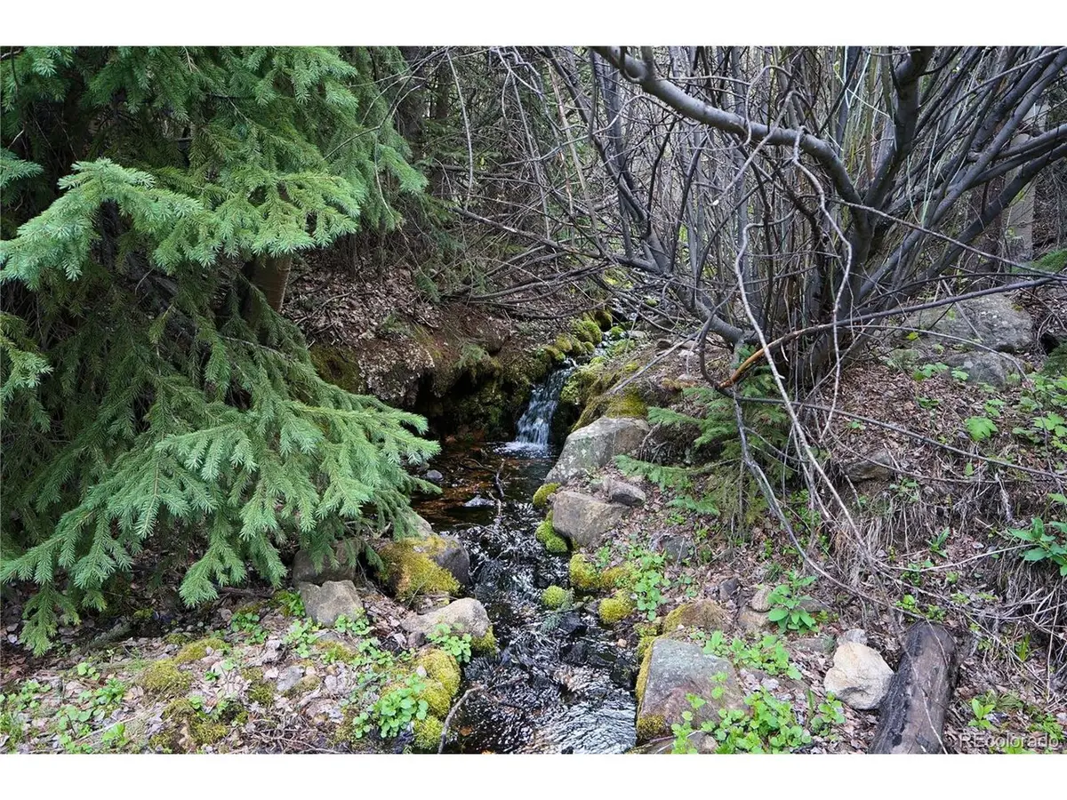 0 Trail Creek Rd, Idaho Springs, CO 80452 - #1