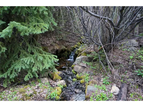 0 Trail Creek Rd, Idaho Springs, CO 80452