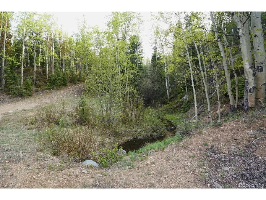 0 Trail Creek Rd, Idaho Springs, CO 80452 - #2