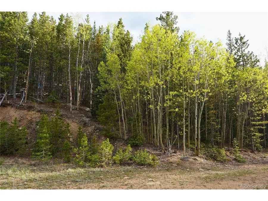 0 Trail Creek Rd, Idaho Springs, CO 80452 - #3