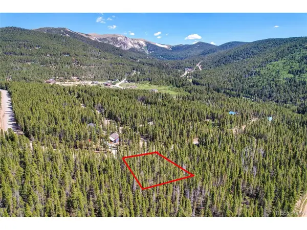 172 Lower Forest Rd, Idaho Springs, CO 80452