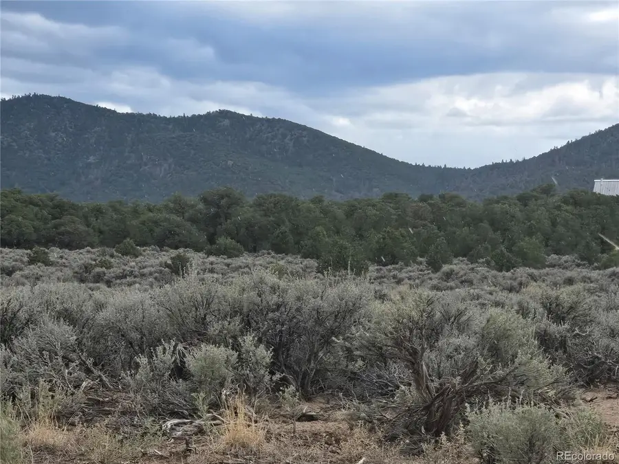 1047 Lee Way, Fort Garland, CO 81123 - #2