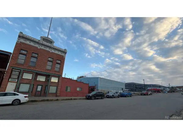 118 W 2nd St #F, Leadville, CO 80461