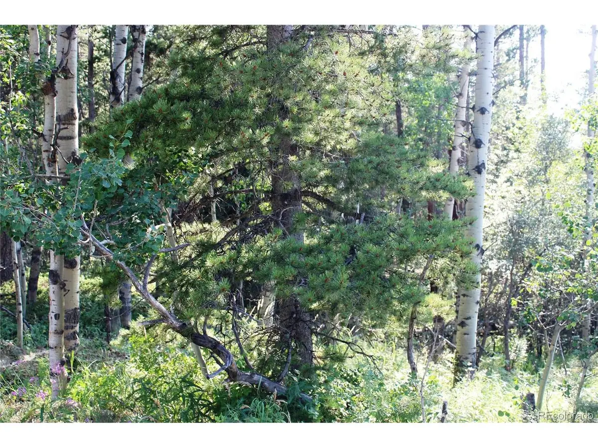 28 Sunflower Ln, Black Hawk, CO 80422 - #1