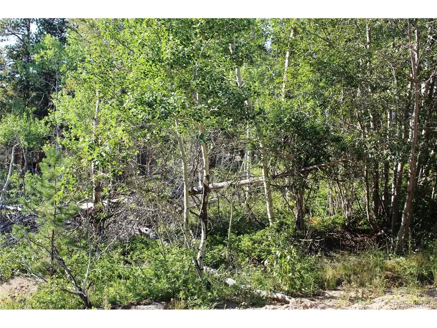 28 Sunflower Ln, Black Hawk, CO 80422 - #2