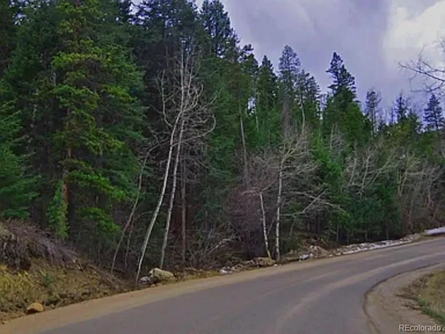 10136 Crest View Dr, Morrison, CO 80465 - #3