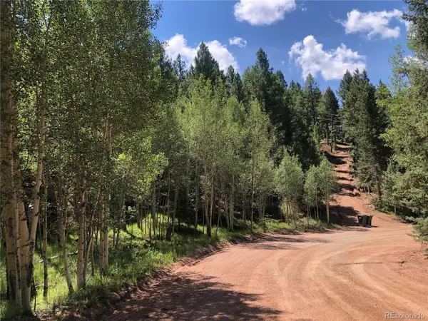 3015 N Mountain Estates Rd, Florissant, CO 80816