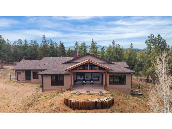 280 Double Tree Rd, Bailey, CO 80421