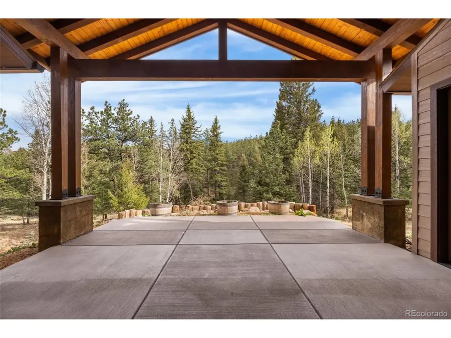280 Double Tree Rd, Bailey, CO 80421 - #3
