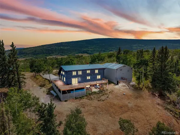 597 Sheep Ridge Rd, Fairplay, CO 80440