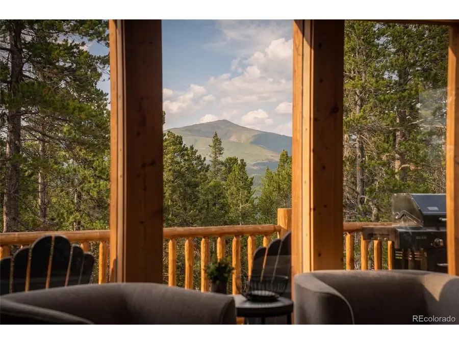 1662 Bobcat Ln, Fairplay, CO 80440 - #3