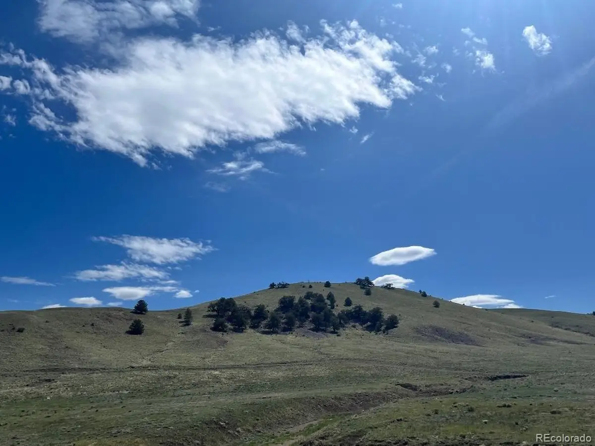 110 Watonga Rd, Lake George, CO 80449 - #1