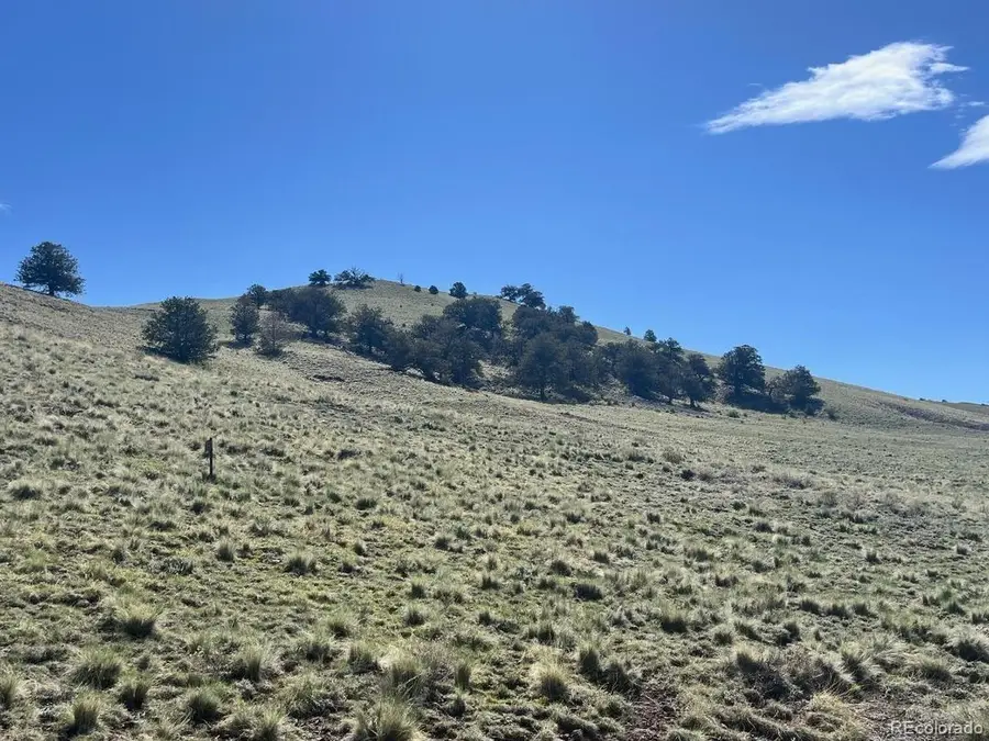 110 Watonga Rd, Lake George, CO 80449 - #3