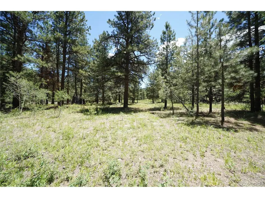 Address Withheld By Seller, Antonito, CO 81120 - #2