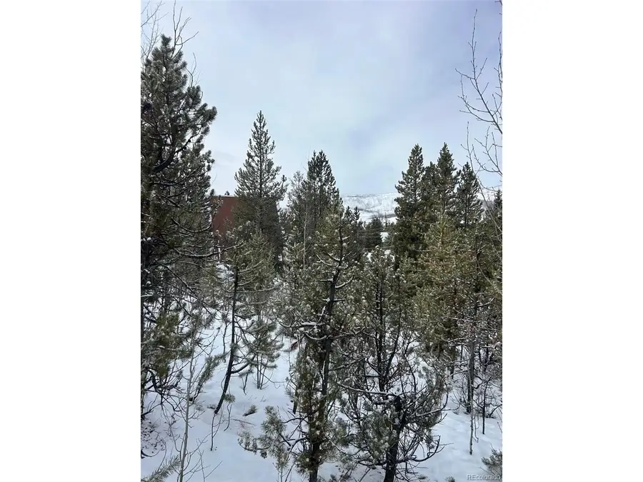 114 Mustang Trl, Grand Lake, CO 80447 - #2