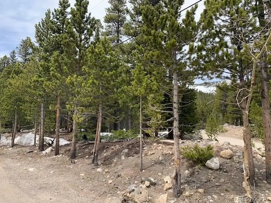 Alice Rd, Idaho Springs, CO 80452 - Image #2