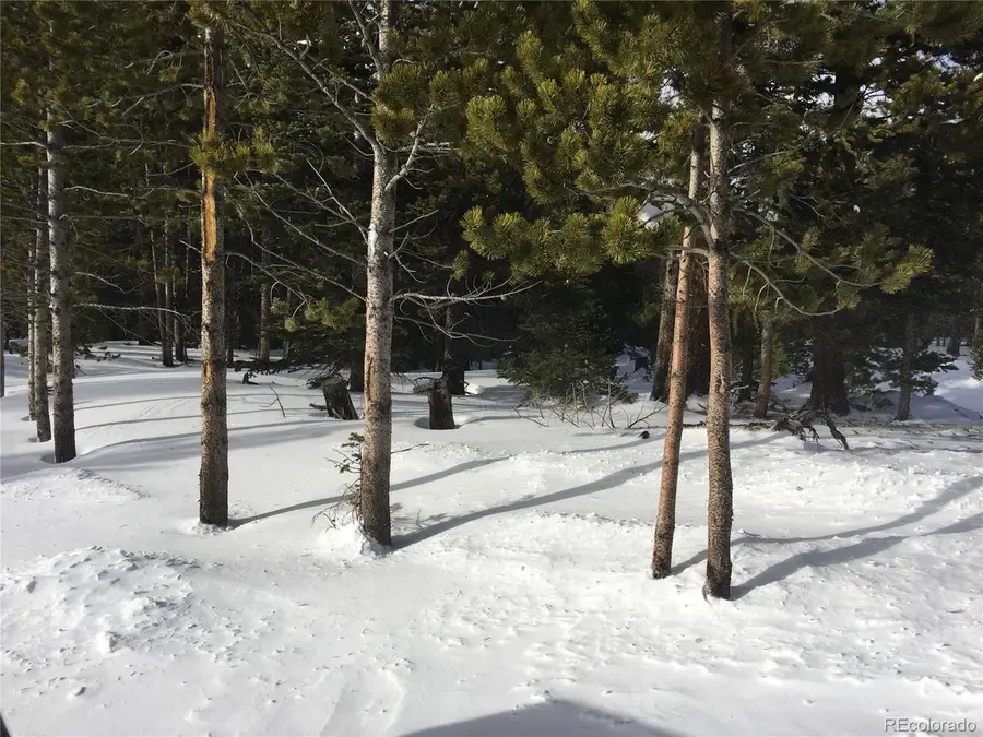 Alice Rd, Idaho Springs, CO 80452 - Image #3