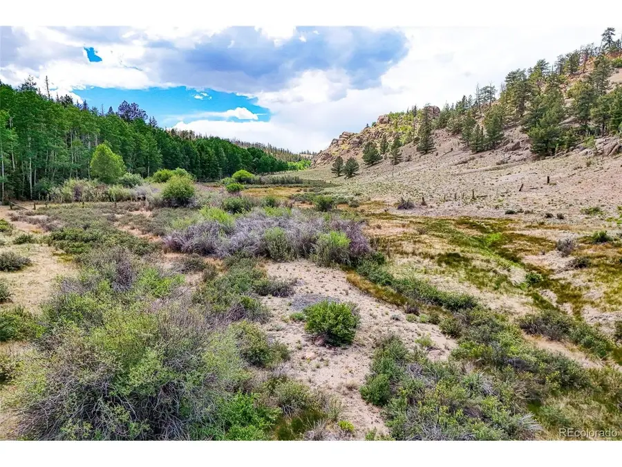 1111 Latigo Loop, Lake George, CO 80820 - #2