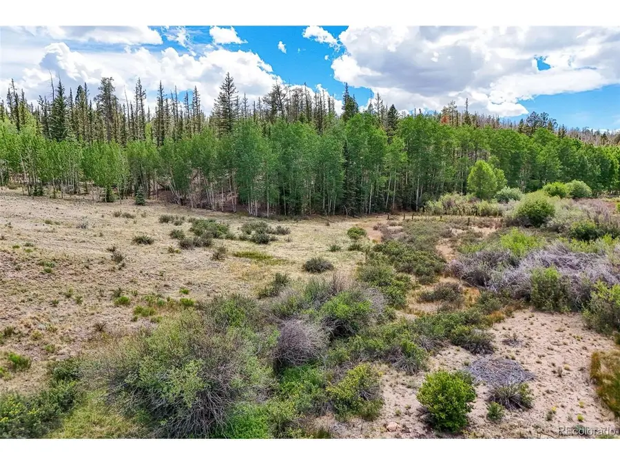 1111 Latigo Loop, Lake George, CO 80820 - #3