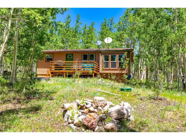 2436 High Creek Rd, Fairplay, CO 80440