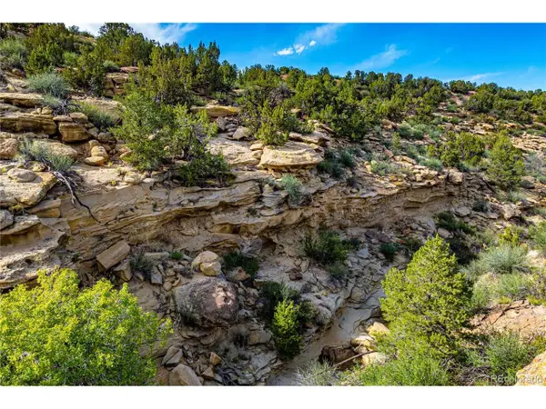 Bandito Trl, Florence, CO 81226
