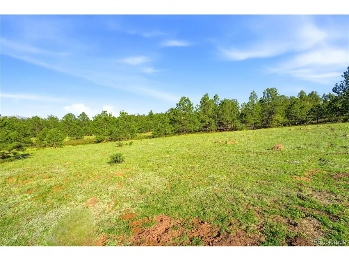 Doe Valley Rd, Guffey, CO 80820 - #1